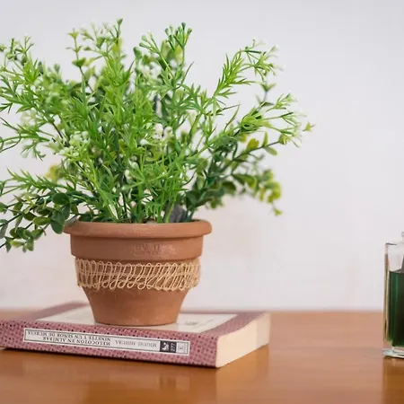 Home2book Urban Ii דירה גראן טאראחל
